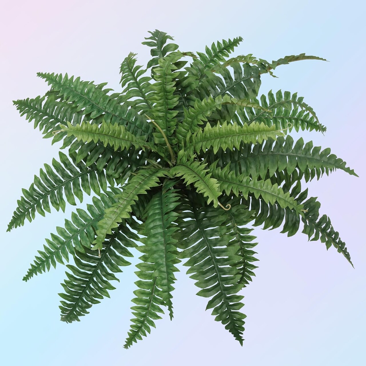 8-Pack 34" Wide Artificial Boston Ferns – Bulk Faux Greenery with 30 Silk Fronds Each – UV Resistant Indoor/Outdoor Plants for Home, Events, or Commercial Use